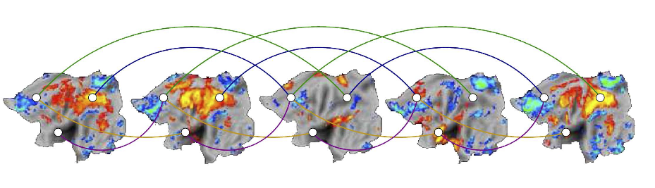 Image for Connectome Graph based source modeling.